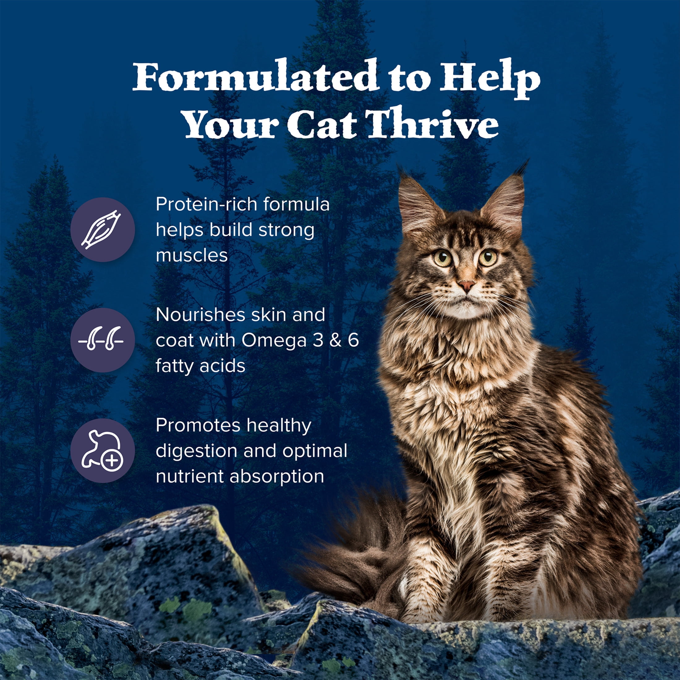 Blue Buffalo Wilderness Natural Adult Dry Cat Food, High-Protein, Chicken, 12-lb. Bag