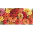 thumbnail image 2 of Rowan, Carol 32x18 Gold Ornate Wood Framed with Double Matting Museum Art Print Titled - Bountiful Gerberas Crop, 2 of 4