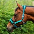 thumbnail image 2 of Hy Dazzle Horse Headcollar, 2 of 2