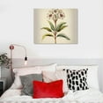 thumbnail image 5 of Orinice Plumeria Flower Plant Print - Vintage Style Floral Botanical Illustration Poster 16x12in, 5 of 6