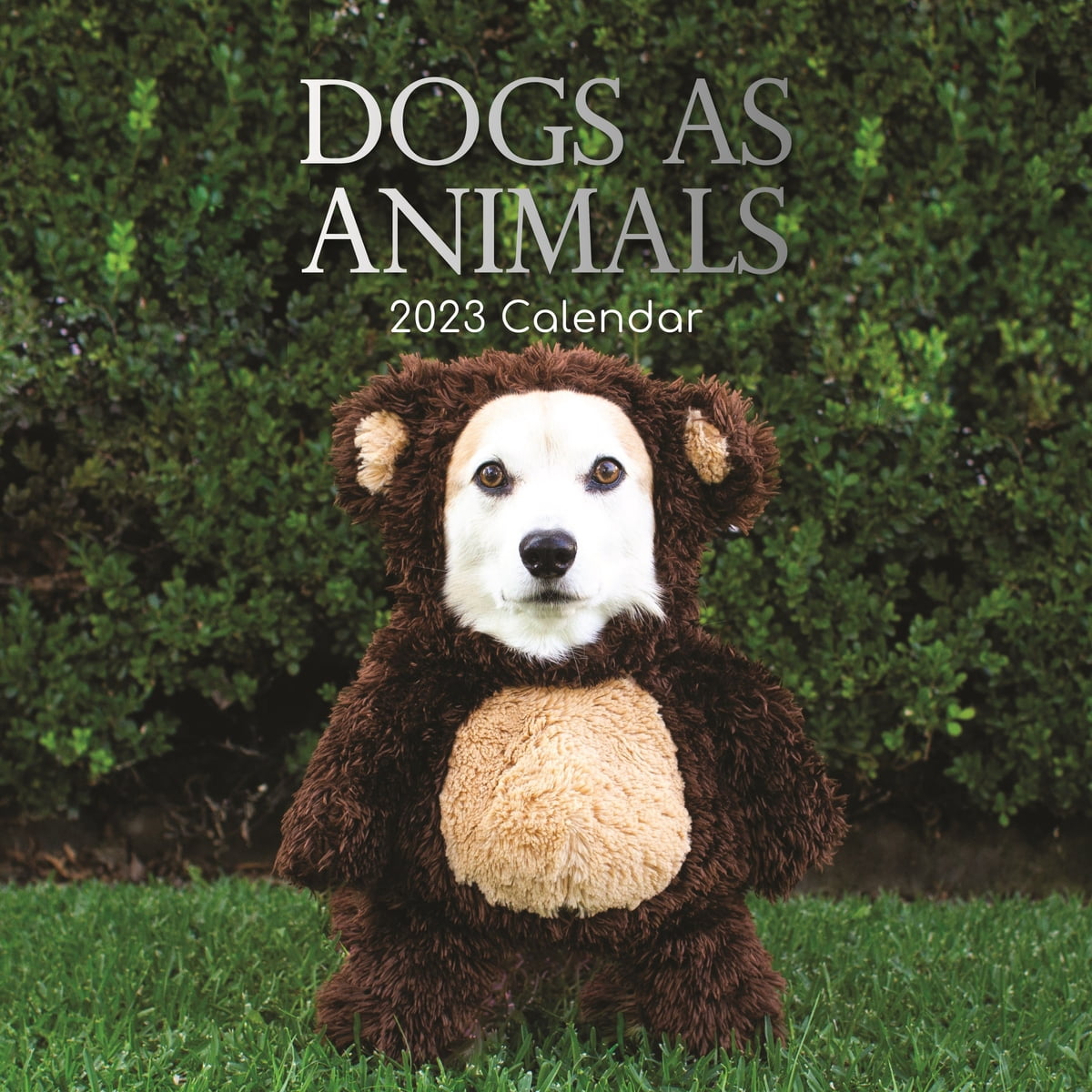 2023 Square Wall Calendar, Dogs as Animals , 16-Month Humor Theme with 180  Reminder Stickers (12 x 12 In) - Walmart.com