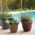 thumbnail image 3 of Bloem Ariana 12" Chocolate Round Self-Watering Resin Planter Pot - Rolled Rim Indoor and Outdoor Gardening Planter, 3 of 6