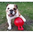thumbnail image 2 of CHUANK Tugntoss Heavy Duty Dog Toy Ball avec Poignée 45 Poucespetit Rouge, 2 of 23