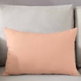 thumbnail image 3 of Peach Fuzz Throw Pillow Covers, Modern Pure Peach Fuzz Soft Breathable Pillow Cases with Invisible Zipper for Sleeping, Queen Size Pillowcases for Couch Bed Sofa Chair 20x30 Inches, 3 of 6