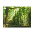thumbnail image 2 of Green Forest Summer Sunlight Nature Wilderness Photography Canvas Wall Art for Home Decor Ready-to-Hang, 2 of 18