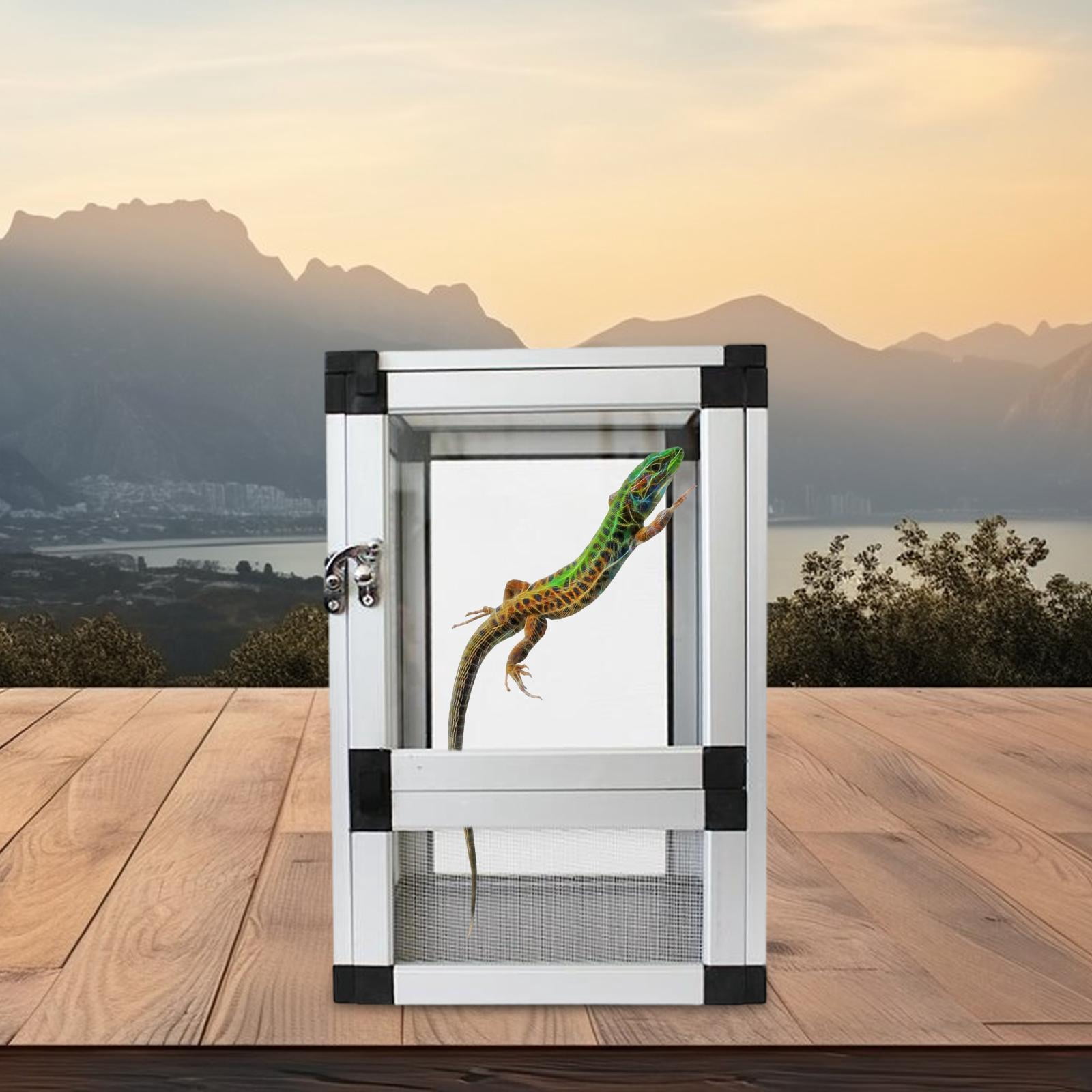 balikha Reptile Terrarium Sturdy Habitat Gecko Tank for Frog Chameleon Small Turtles Argent
