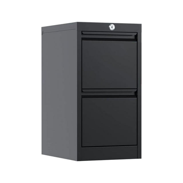 AOBABO 2 Drawer Vertical Metal File Cabinet w/Lock, Fully Assembled, Black