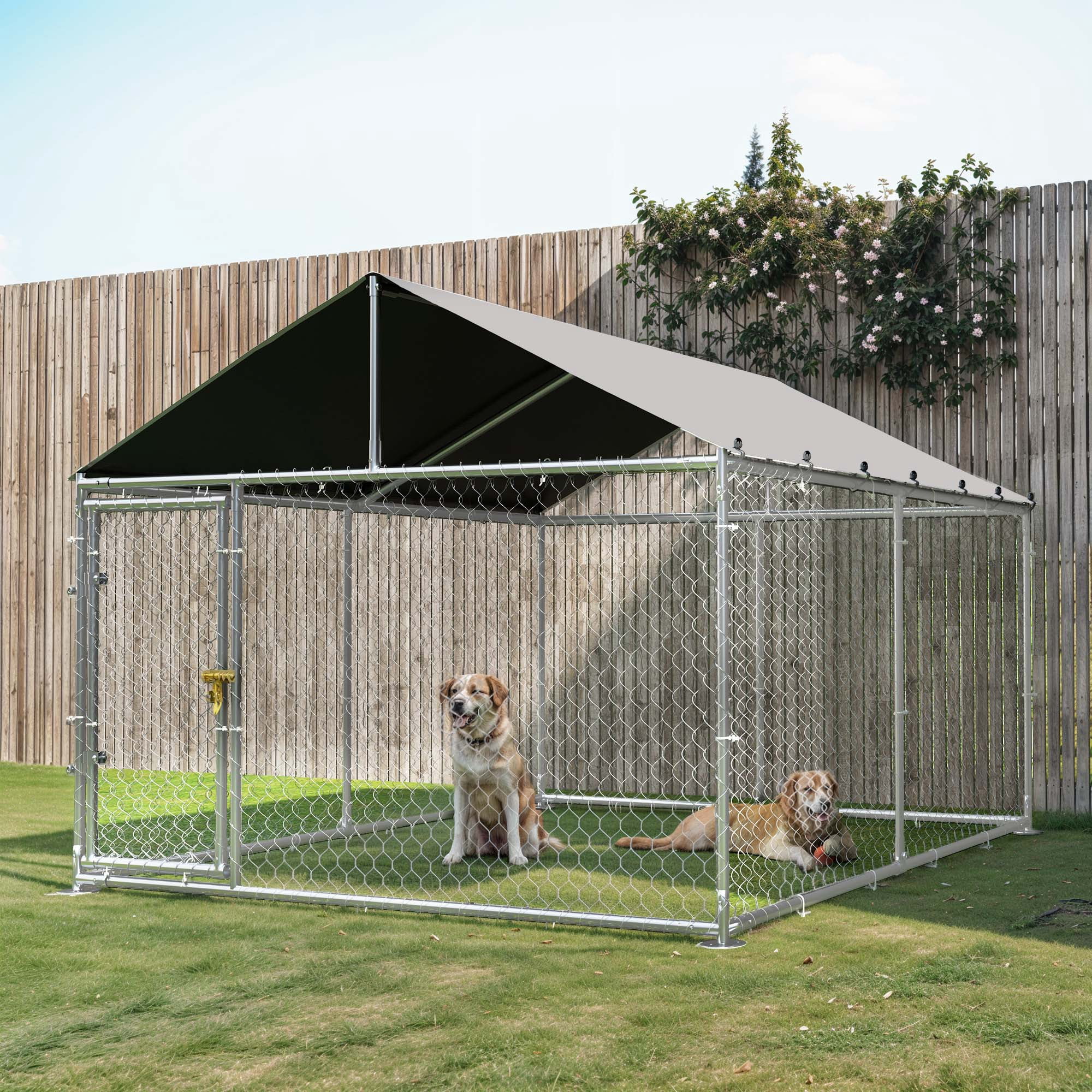 Dextrus 10'x10' Outdoor Dog Kennel with Metal Dog Gate, Outdoor Dog Enclosure with Roof, Heavy Duty Dog Kennel for Outdoor Backyard Farm