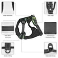 thumbnail image 6 of Fotbe Cute Big-Eyed Black Cat Pattern Dog Harness, No-Pull Pet Harness with 2 Leash Clips, Adjustable Soft Padded Dog Vest with Easy Control Handle for Large Dogs-X-Large, 6 of 6