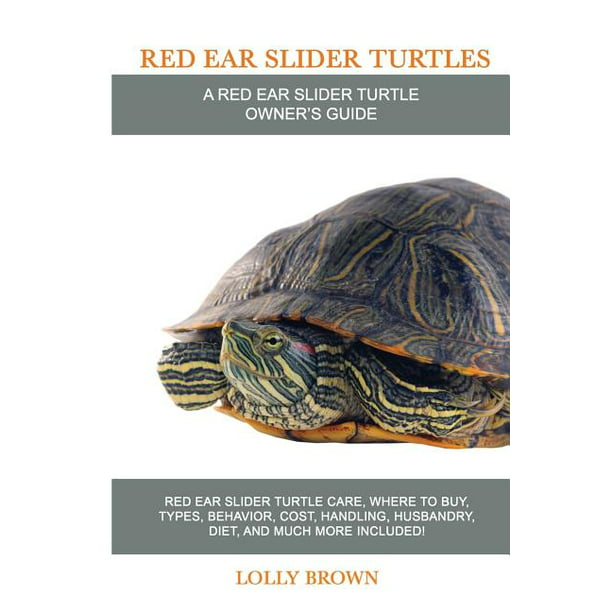 Red Ear Slider Turtles Red Ear Slider Turtle Care Where To Buy Types Behavior Cost Handling Husbandry Diet And Much More Included A Red Ear Slider Turtle Owner S Guide Walmart Com,Maple Trees In Michigan