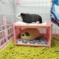 thumbnail image 4 of Guinea Pig Bunk Bed: Detachable Hamster Hideout Small Animal Bed with Mat & Blanket, 4 of 5