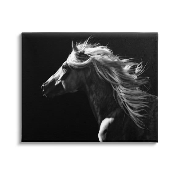 Stupell Industries Windblown Stallion Mane Animals & Insects Photography Gallery Wrapped Canvas Art Print Wall Art, 20 x 16