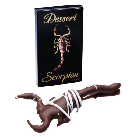 Dessert Scorpion A real  edible scorpion dipped in chocolate!