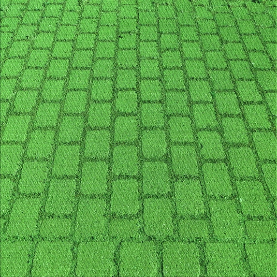 Ahgly Company Machine Washable Indoor Square Transitional Neon Green Area Rugs, 8' Square