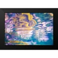 thumbnail image 2 of Hartson-Weddle, Ryan 18x13 Black Modern Framed Museum Art Print Titled - Aquatica II, 2 of 5
