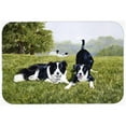 thumbnail image 1 of Carolines Treasures FRF0014LCB Lets Play Border Collie Glass Large Cutting Board, 1 of 2