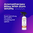 thumbnail image 3 of Zum All-Purpose Cleaner - Sweet Orange, 3 of 7