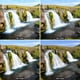 thumbnail image 3 of Kit de filtros de lente ND NEEWER ND2 ND4 ND8 ND16 para lentes de 49 mm, 3 of 8