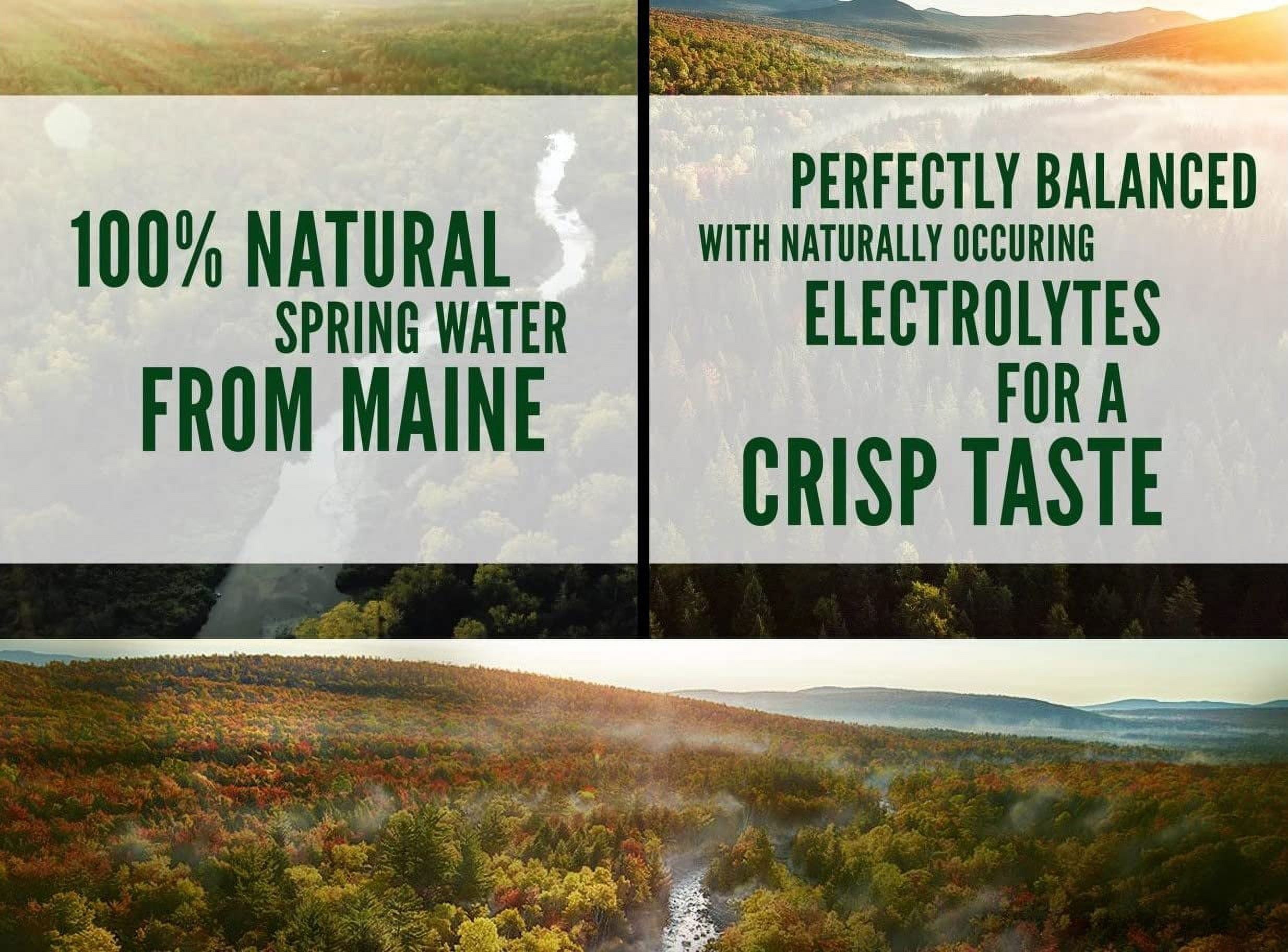 2pcs Poland Spring 100% Natural Premium Spring Water - Small, Mini 8 Fl Oz Bottles | Pack of 24