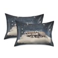 thumbnail image 2 of Dailycode Satin Pillow Case Standard Silk Pillow Cover for Hair and Skin Envelope Closure Raccoon on Clould 20"x26", 2 of 9