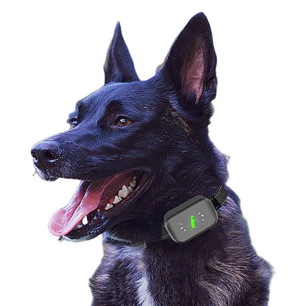 Shock Dog Trainer 300-500M recargable con control remoto para pequeños/medianos/grandes
