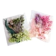 thumbnail image 4 of Flores prensadas secas,Flores prensadas secas para manualidades Resina epoxi,Flores secas prensadas Jabón para uñas Fabricación de velas,Decoraciones florales Scrapbooking DIY, 4 of 8