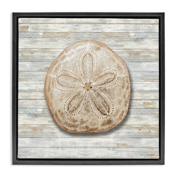 Stupell Industries Coastal Sand Dollar On Shiplap Black Floating Frame Canvas Art, 18 x 18, by Amber Sterling