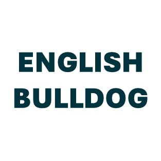 English Bulldog Pill Butter
