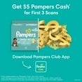 thumbnail image 4 of Pampers Baby Dry Extra Protection Diapers, Size 2, 192 Count, 4 of 12