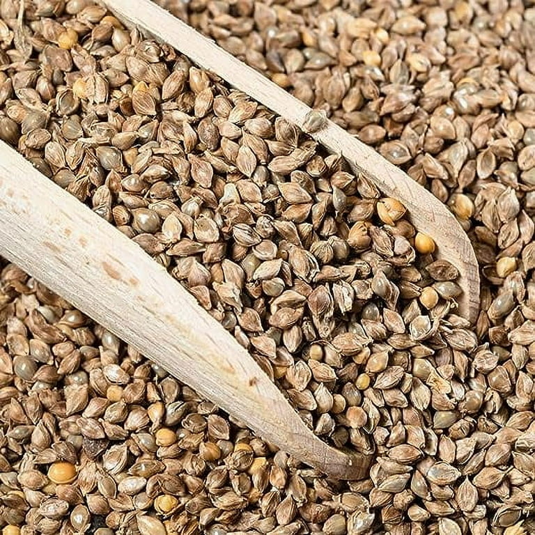 ☆millet☆ Premium Japanese Millet Seed 50 lbs - Fast-Growing, Ideal for Food