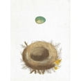 thumbnail image 2 of Wild Apple Portfolio 15x18 White Modern Wood Framed Museum Art Print Titled - Spring Nest I, 2 of 4