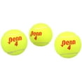 Penn Championship Regular Duty Tennis Ball Case, 12 Cans, 36 Balls for Control