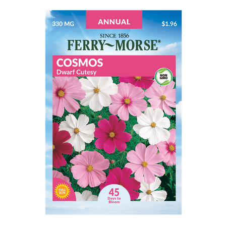 Ferry-Morse 30MG Cosmos Dwarf Cutesy Annual Flower Seeds (1 Pack)- Seed Gardening, Full Sunlight