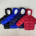 thumbnail image 5 of Coerni Winter Coat for Kids Baby Warm Outdoor Girls Boys Cartoon Winter Warm Fleece Jackets Kids Winter Down Jacket, 5 of 6