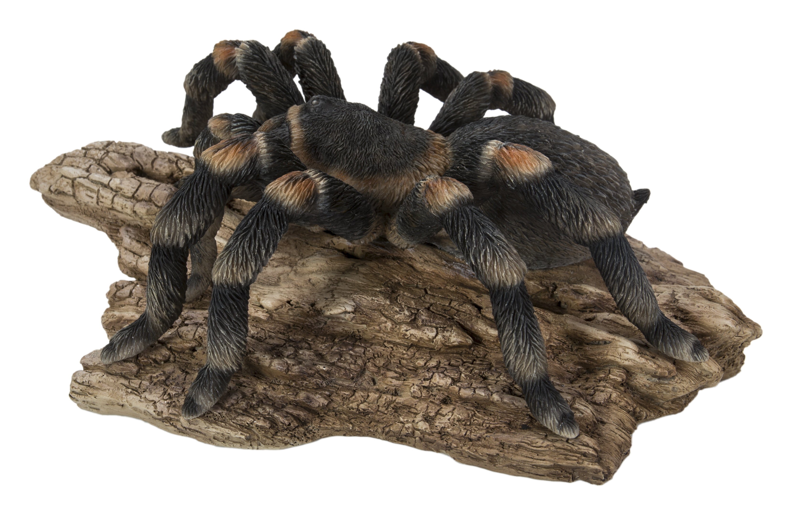 TARANTULA