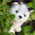 thumbnail image 2 of GAXIRE Adorable peluche de husky sentado para niños (25 cm), 2 of 6