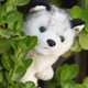 thumbnail image 2 of FELTECHELECTR Adorable peluche de husky sentado para niños (25 cm), 2 of 6