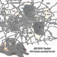 thumbnail image 5 of Mini Gps inteligente impermeable Ip66 para mascotas, Wifi/lbs/gps, seguimiento en tiempo real, luz Led rodante, rastreador Gps para gatos en espera de largo tiempo, 5 of 5