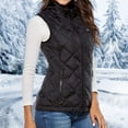 thumbnail image 3 of comerut 9 Heated Zones Stand Collar Sleeveless Side Pockets Zipper Placket Thermal Waistcoat Intelligent USB Electric Heating Warm Vest Female Clothing, 3 of 7