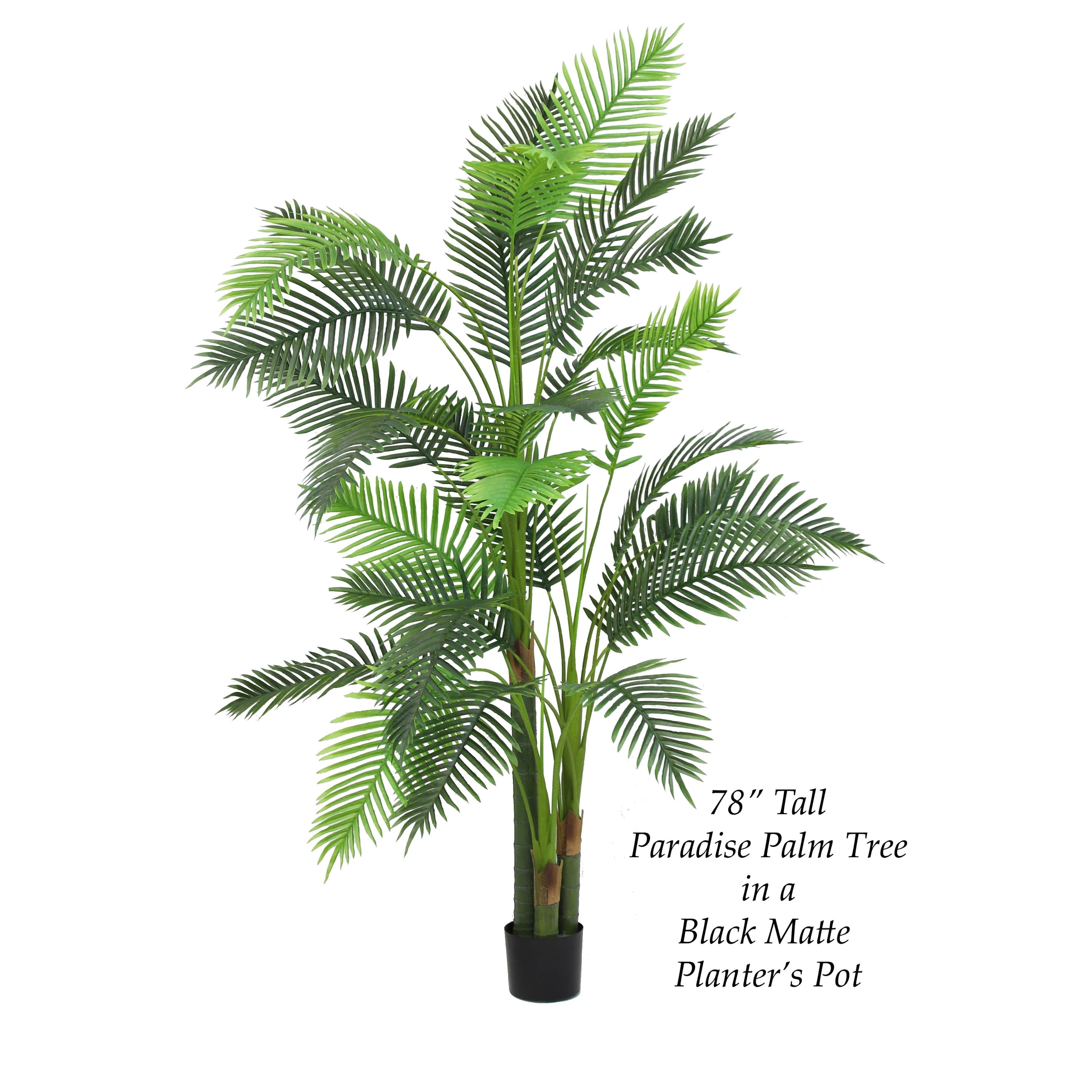 The Mod Greenhouse 84" Artificial Paradise Palm Tree in Black Matte Planter's Pot