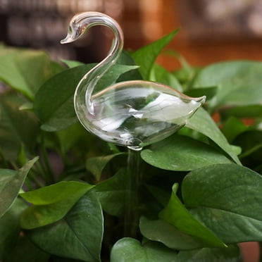Plant Waterer Globes For Vacation 4-Pack Self-Watering Plant Globes - Glass Automatic Watering Bulbs For Indoor & Outdoor Plants Glass Plant Waterers
