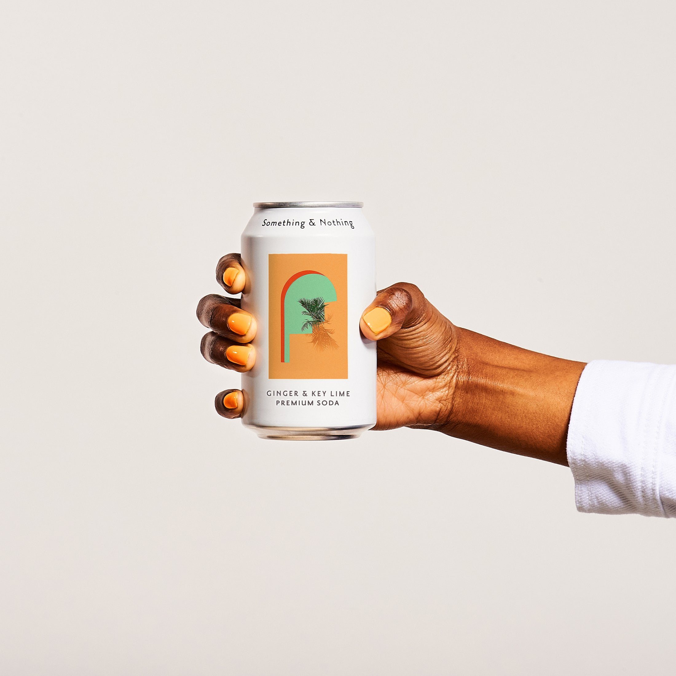 Something & Nothing Lightly Carbonated Ginger & Key Lime Premium Soda Case of 12 x 12 Fl Oz