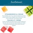 thumbnail image 4 of ScentSationals Scented Wax Cubes Value Pack - Strawberries and Cream, 4 of 4