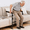 Black, variant on Verida Couch Stand Assist Aid for Elderly, Adjustable Height, Freestanding, 320 lb Capacity, Sofa Lift Assist Aid for Seniors, White 1 Count