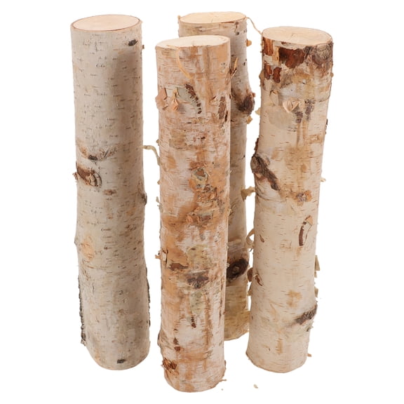 WORGEOUS  4 Pcs Sticks for Vases Decor Branches Decoration Kit Boards