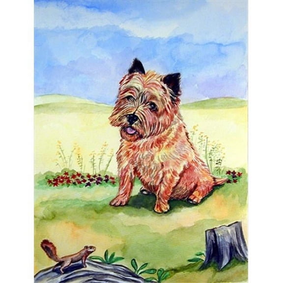 11 x 15 in. Cairn Terrier And The Chipmunk Flag Garden Size