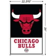 thumbnail image 2 of NBA Chicago Bulls - Logo 21, 2 of 4