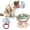 304 SS-B, variant on Wall Mounted Cat Bowl, 2-in-1 Elevated Feeder, Adjustable Height,Plastic-B | 2-in-1 cat food station and feeding shelf, wall or floor, anti-tip, removable dishwasher safe bowl for indoor cats
