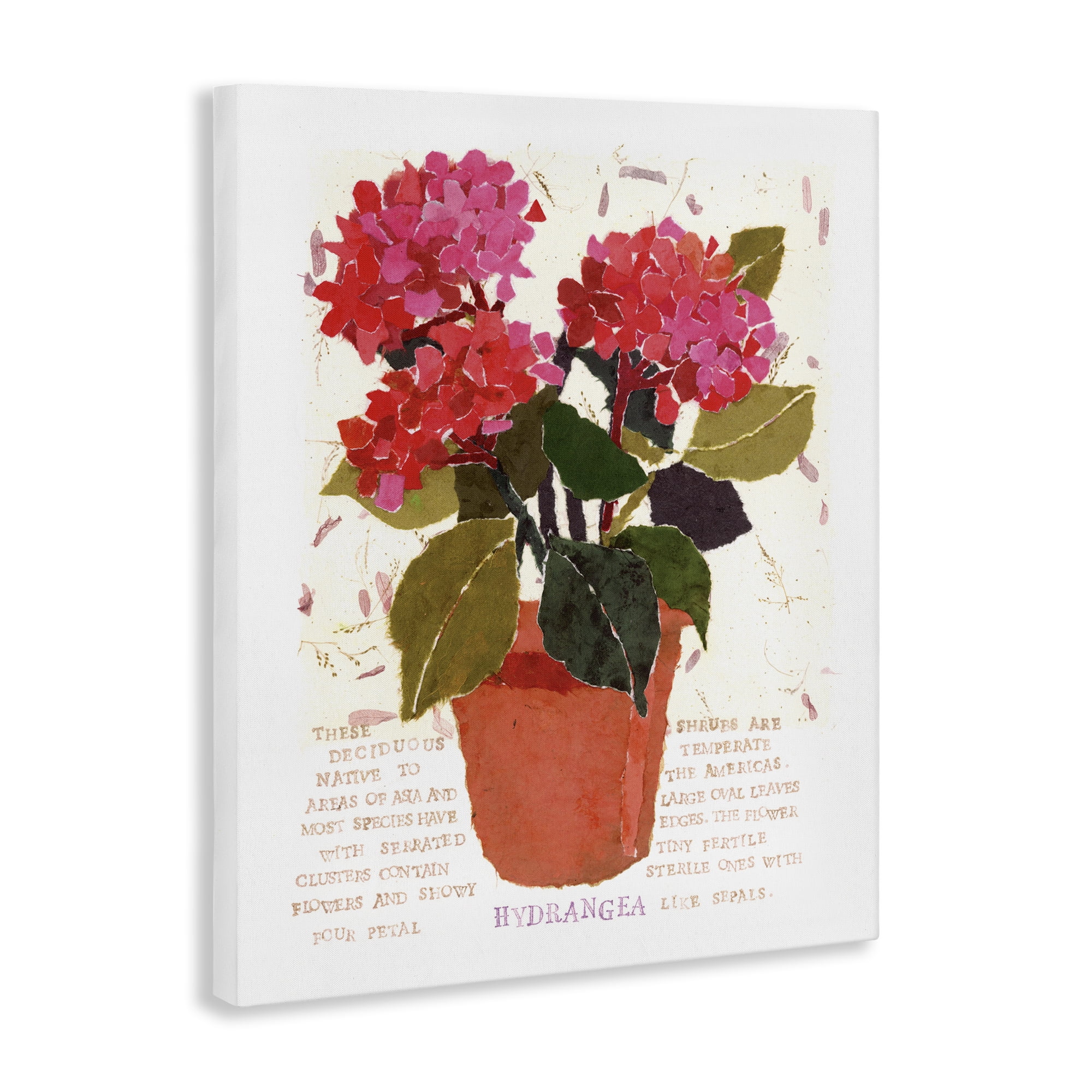 Stupell Industries Bold Red Hydrangea Botanical & Floral Painting Gallery Wrapped Canvas Art Print Wall Art, 24 x 30