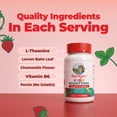 thumbnail image 6 of (3 pack) MaryRuth's Kids Nighttime Sleep Gummies Sugar-Free Strawberry Flavor with Vitamin B6 and L-Theanine Dietary Supplement 60 Count, 6 of 10